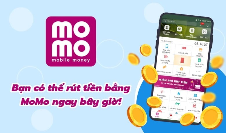 MOMO/Zalo pay